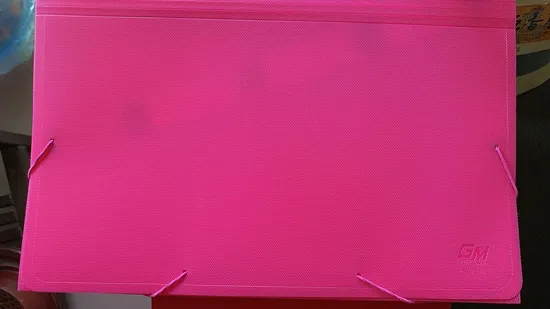 Expanding File with Elastic Band