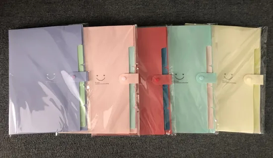 Colorful 5-Pocket Expanding File with Button