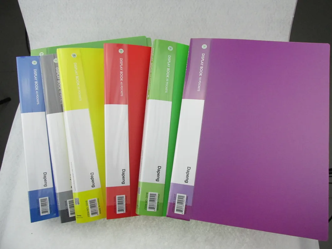 2021 High Quanlity New Design PP File Folder