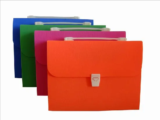 Customized Expanding File with Handle and Button (E061)