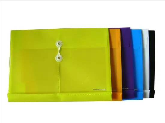 Customized Vertical File Bag/ Envelop Bag (F041)