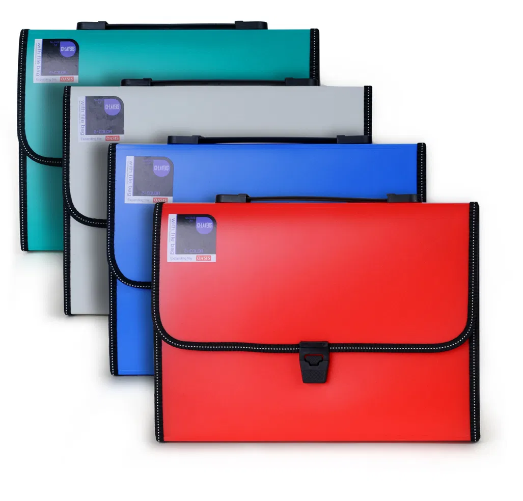 Oasis Expanding File with Button and Handle