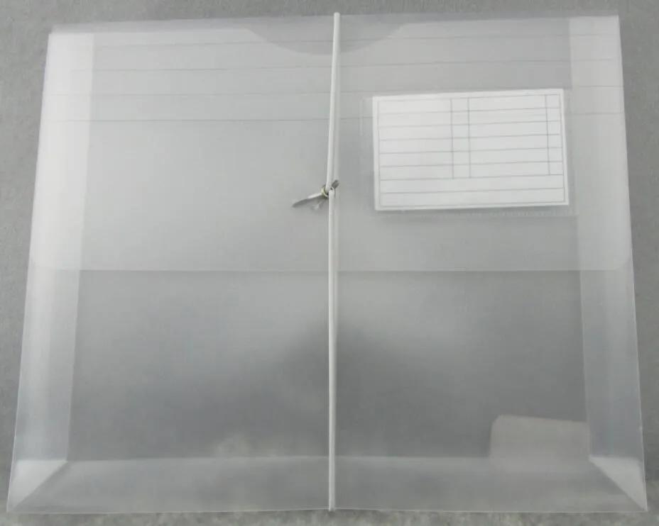 Transparent File Bag with Elastic Strap (F-A030)