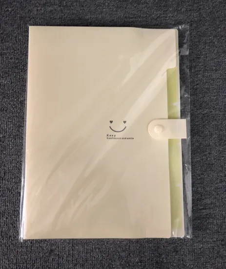 Colorful 5-Pocket Expanding File with Button