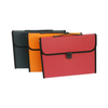 Oasis Expanding File with Button and Handle