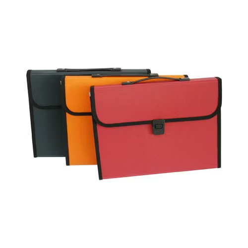 Oasis Expanding File with Button and Handle