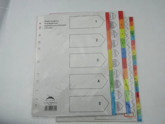 A4 PP 5 Tab Index Dividers / Plastic File Folder (B3108)