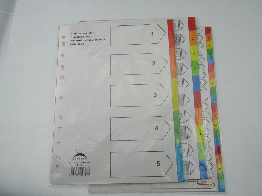 Index Tab Divider/ Plastic File Folder (B3109)