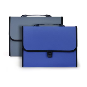 Oasis Expanding File with Button and Handle