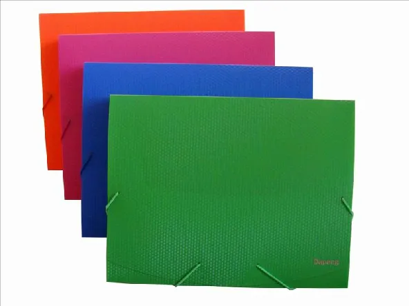 Expanding File/ File Bag (E052)