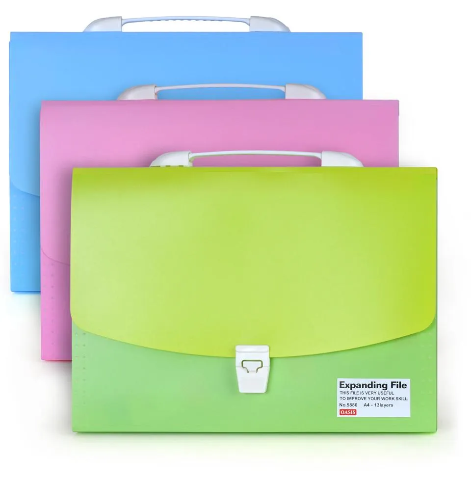Customized Expanding File with Handle and Button (E061)