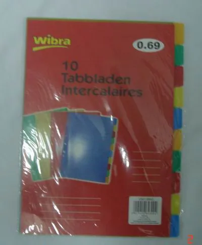 Index Tab Divider, Plastic File Folder(B3107)