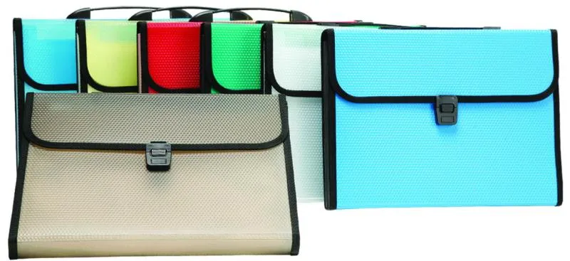 Oasis Expanding File with Button and Handle