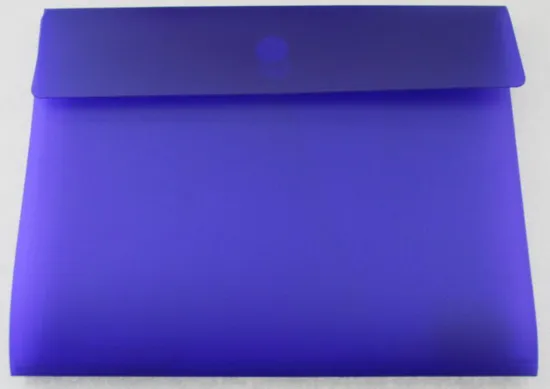 Special Expanding File Bag with Elastic Strap (E1540)