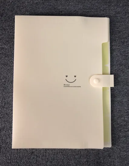 Colorful 5-Pocket Expanding File with Button