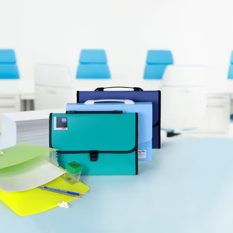 Oasis Expanding File with Button and Handle