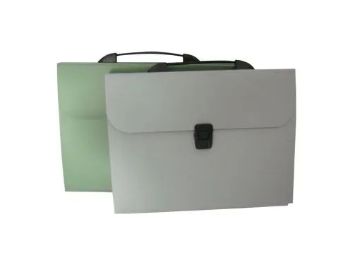 Customized Expanding File with Handle and Button (E061)