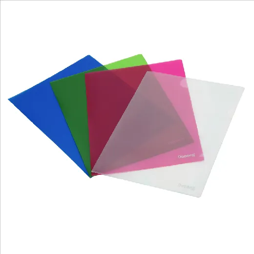 Customized L Type Folder /File Folder E310