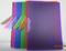 Red/ Purple/ Blue/ Green Clip File (F2025-1)