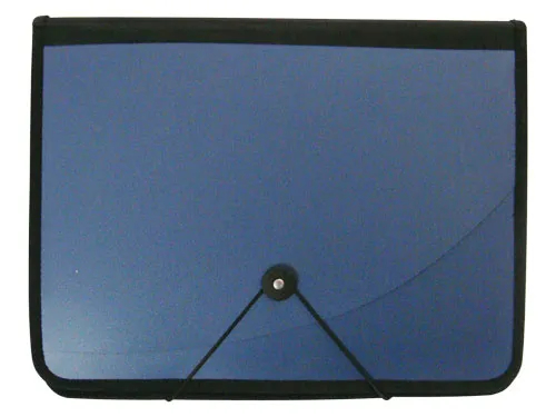 Special Expanding File Bag with Elastic Strap (E1540)