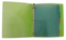 Customized PP A4 Colored Clip Board (B3515)