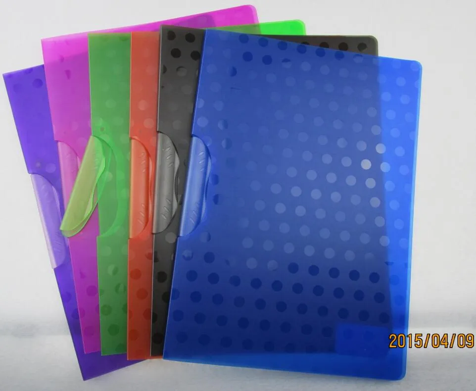 Customized Matt Texture File Folder with Clip (F007)
