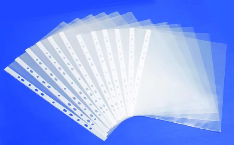 Customized 11 Holes Sheet Protector (B001)