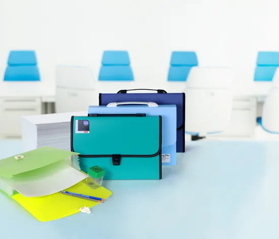 Oasis Expanding File with Button and Handle