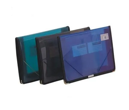 Special Expanding File Bag with Elastic Strap (E1540)