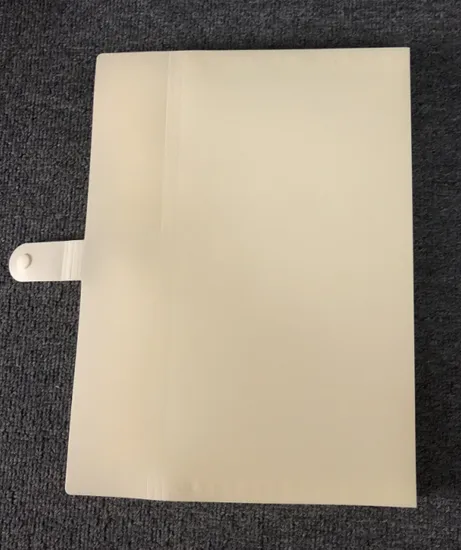 Colorful 5-Pocket Expanding File with Button