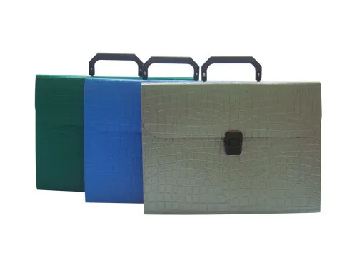 Expanding File with Vertical Line/ File Bag (E048)