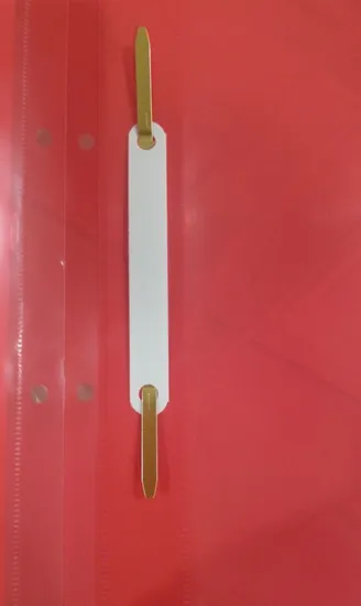 Customized A4/FC Report Clip File (F037)