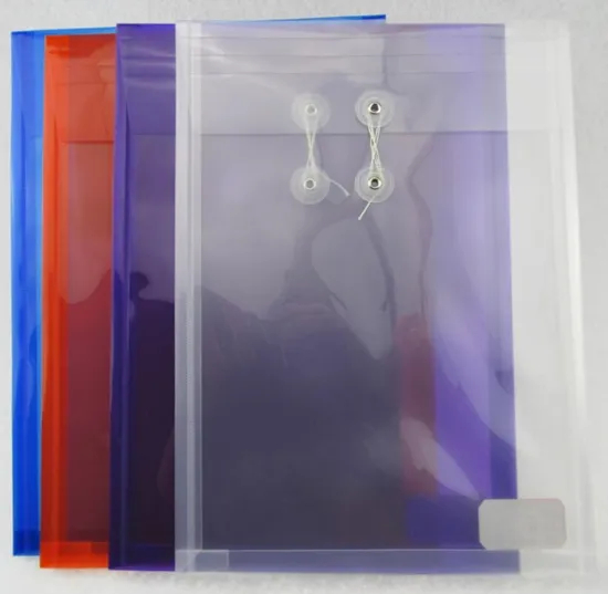 Customized Vertical File Bag/ Envelop Bag (F041)