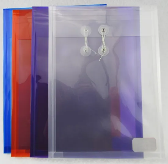 Customized Vertical File Bag/ Envelop Bag (F041)
