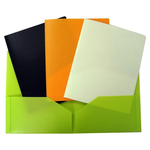 Customized Report Folder with Prong (F038)
