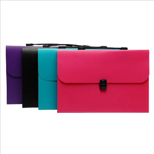 13 Dividers Expanding File with Handle and Injected Piece (DP00360)