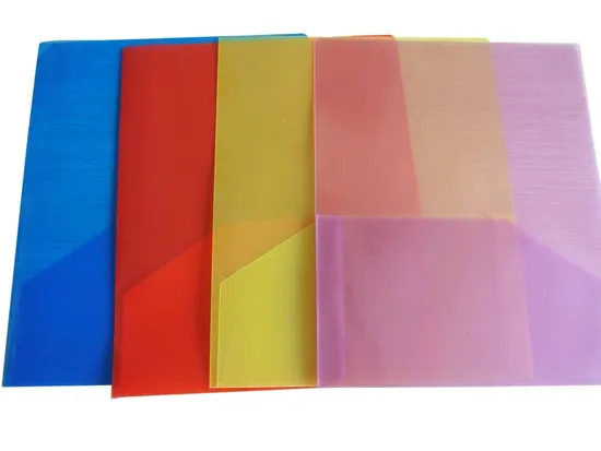 Customized 2 Pockets Folder (F049)