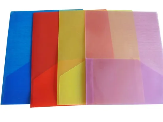 Customized 2 Pockets Folder (F049)