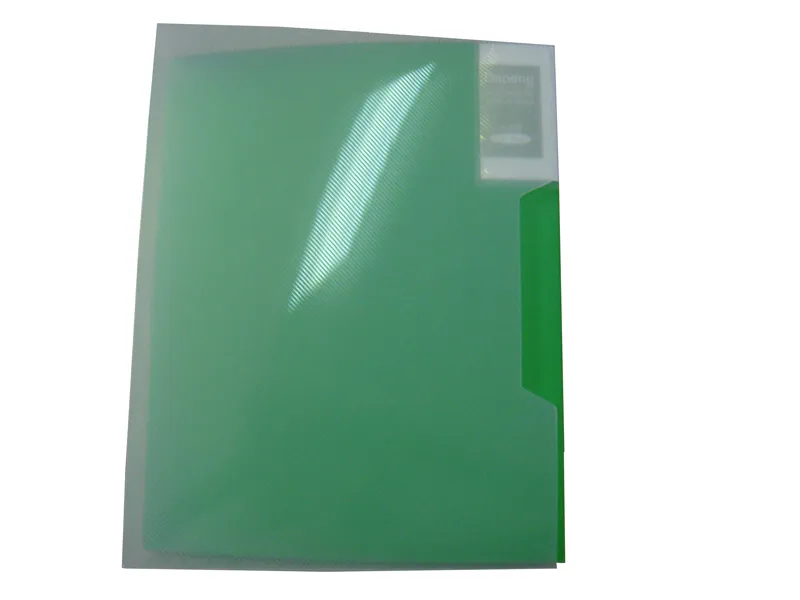Oasis Clear Book/Display Book-40 Pages