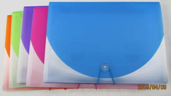 Contrast-Collar Expanding File - 13 Pockets (E1506)