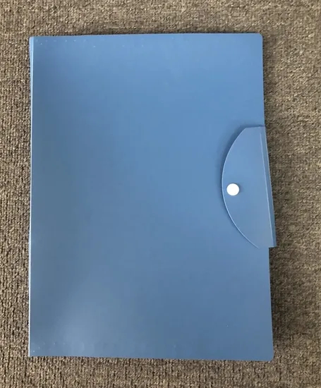 5 Pockets Expanding File with Button