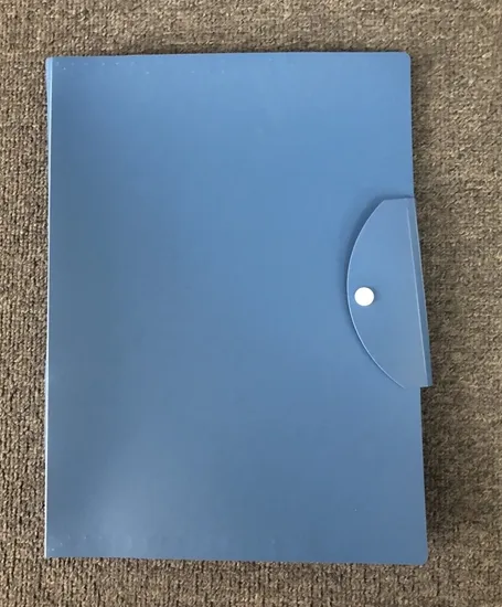 5 Pockets Expanding File with Button
