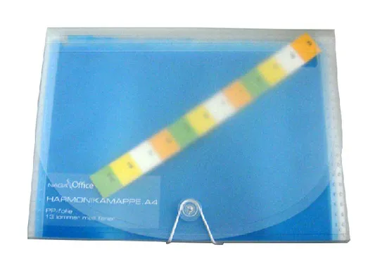 Customized File Bag with Elastic Band/ Briefcase (E055)