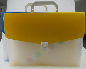 Customized Expanding File with Handle and Button (E061)