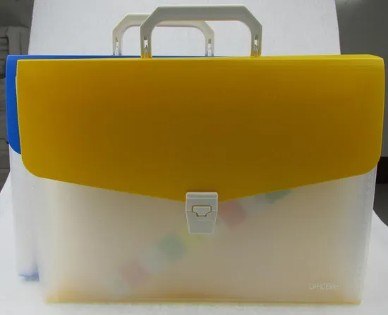 Customized Expanding File with Handle and Button (E061)