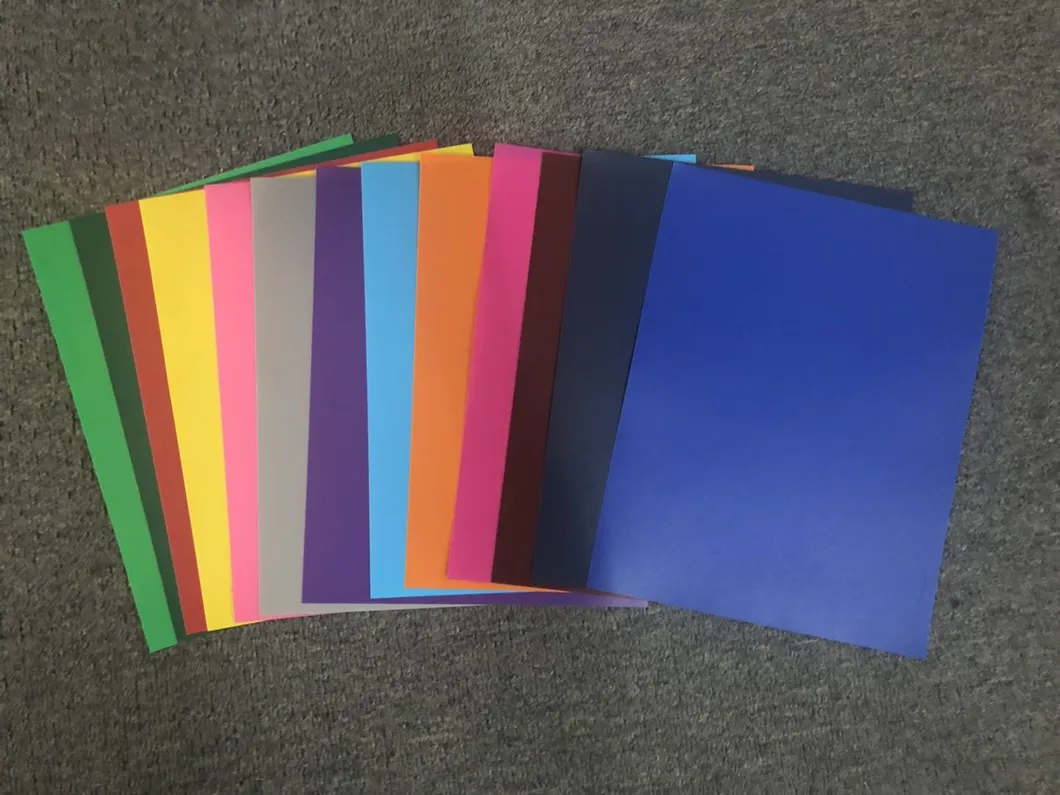 PP Film for Sheet Protector in Tuble Roll (DP-F01)