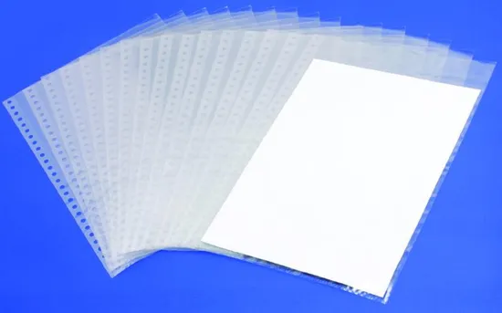 Customized 11 Holes Sheet Protector (B001)