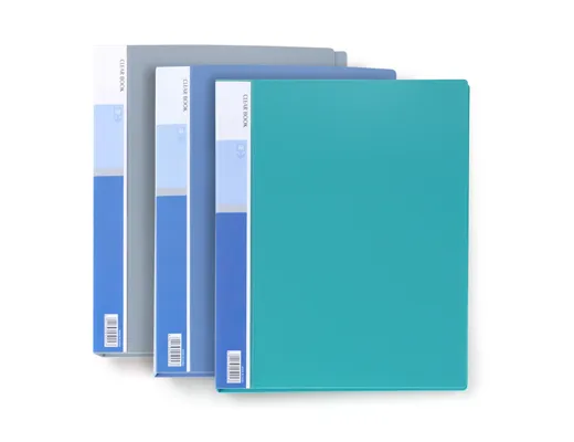 Oasis Clear Book/ Display Book-20 Pages