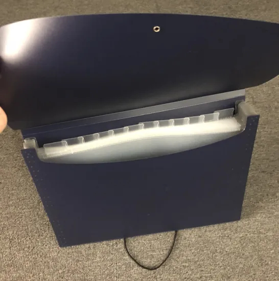 Stationery Office Supply Expanding Document File