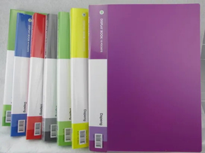 2021 High Quanlity New Design PP File Folder